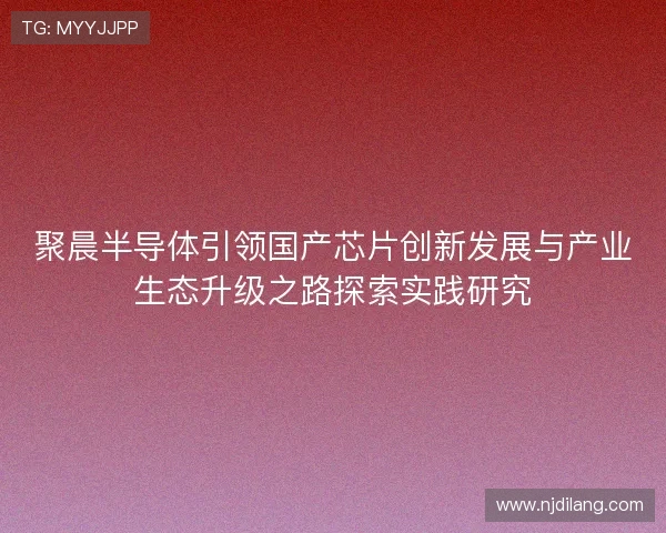 聚晨半导体引领国产芯片创新发展与产业生态升级之路探索实践研究